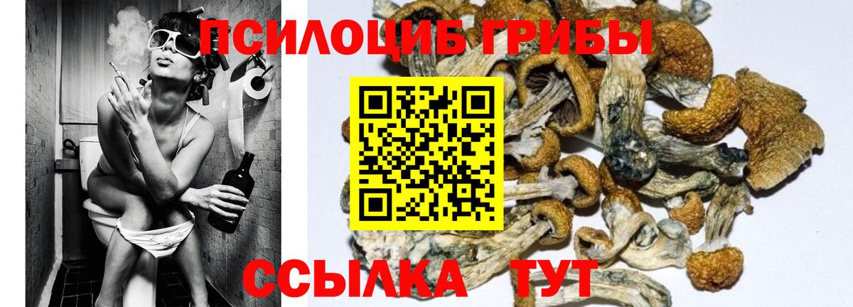 Галлюциногенные грибы Magic Shrooms  Псилоцибиновые грибы мицелий  Вход с VPN  Нижний Тагил 