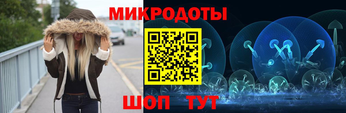 Галлюциногенные грибы Psilocybine cubensis Нижний Тагил